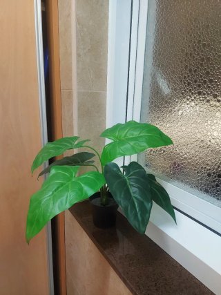 Plantas Artificiales Decorativas