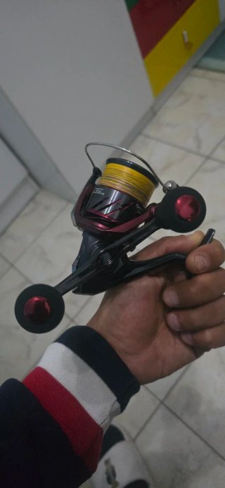 Mulinelli daiwa e shimano da spinning