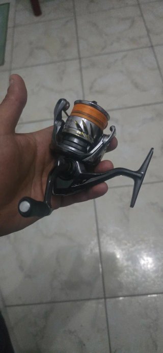 Mulinelli daiwa e shimano da spinning