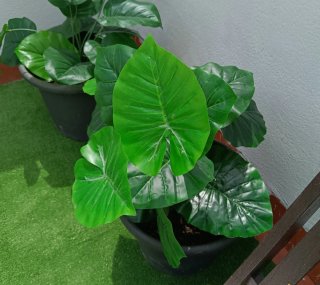 2 Piante Artificiali con Vasi Neri