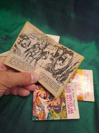 Mini libros