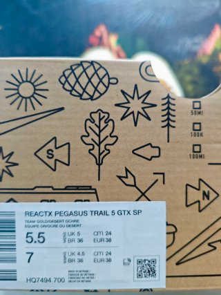 Nike Pegasus Trail 5 GTX Gore-Tex Beige