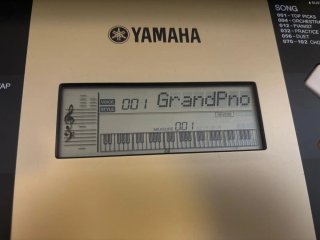 Teclado Yamaha YPT-220 61 teclas