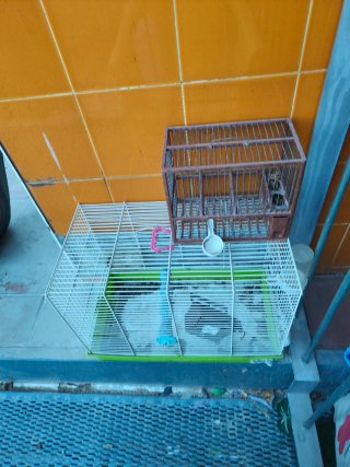 PACK JAULAS PAJARO