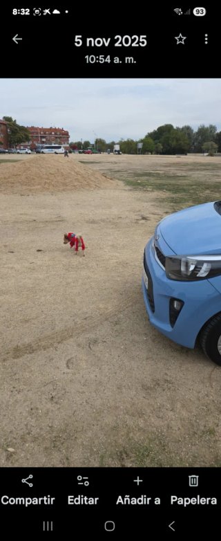 KIA Picanto 2020