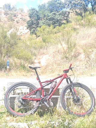 Specialized Epic Expert 2020