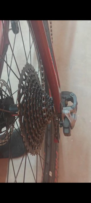 Specialized Epic Expert