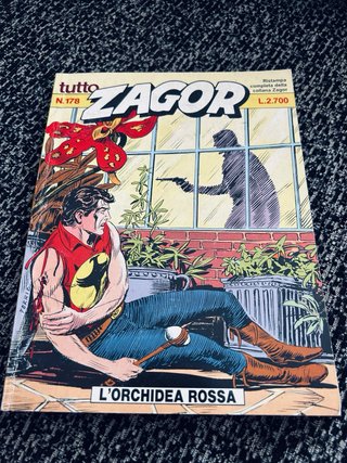 Fumetti Zagor