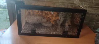 Terrario para reptiles negro/transparente