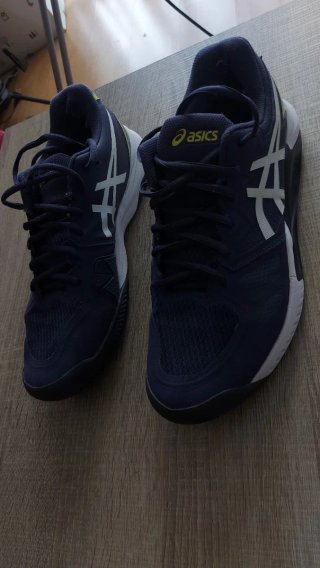 Zapatillas Asics Gel Challenger