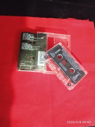 Cassette Ricky Martin Livin La Vida Loca