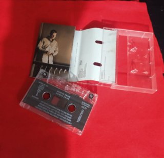 Cassette Ricky Martin Livin La Vida Loca