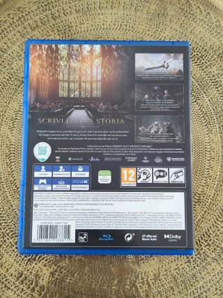 Hogwarts Legacy PS4 (PlayStation 4)
