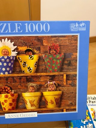 Puzzle Anne Geddes Bebés en Macetas 1000 Piezas