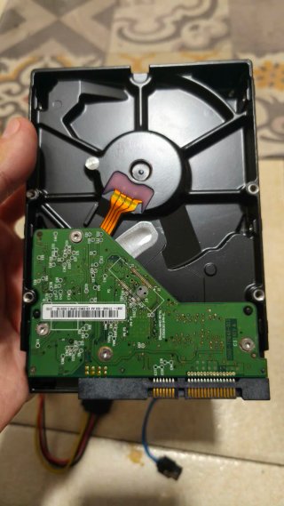 Disco Duro WD 500GB SATA + 2 Cables