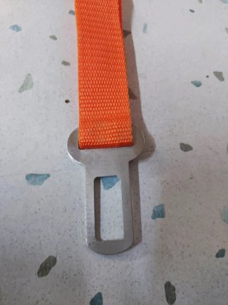 Guinzaglio sicurezza cane arancione