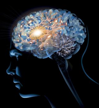 Soporte científico/ investigación