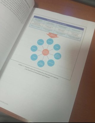 Guía PMBOK