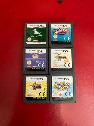 Giochi Nintendo DS