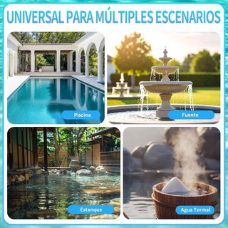 NUEVO! Recoge Hojas Piscina con 2 Redes