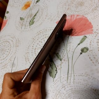 Samsung Galaxy Note 20 Ultra Rosa/Oro