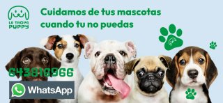 Cuidador de mascotas