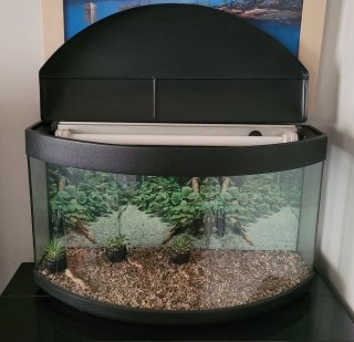 Acuario Terrario 120L Curvo