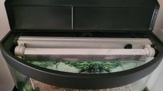 Acuario Terrario 120L Curvo