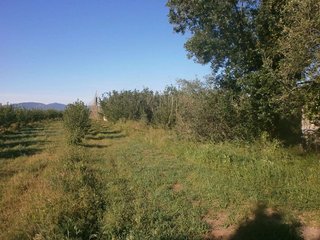 Terreno en venta en Alcover