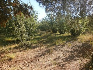 Terreno en venta en Alcover