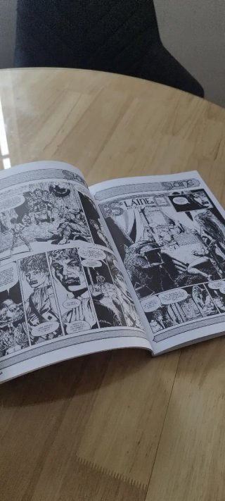 Comic, Slaine: el rey