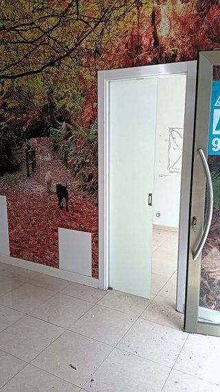 Local comercial en venta en Canido en Ferrol