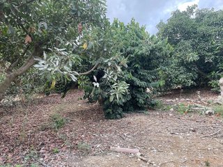 Terreno en venta en Coín