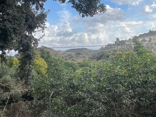 Terreno en venta en Coín