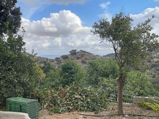 Terreno en venta en Coín