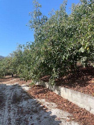 Terreno en venta en Coín
