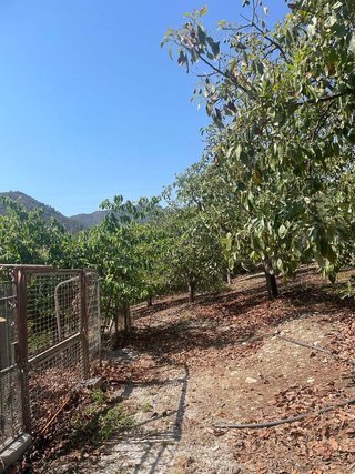 Terreno en venta en Coín