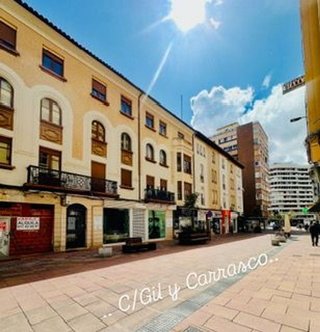 Piso en alquiler en Centro Ciudad en León