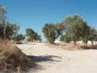 Terreno en venta en Sevilla la Nueva