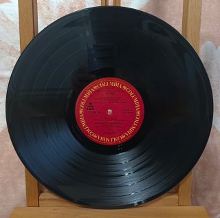 Vinilo LP Go-Go's Beauty and the Beat