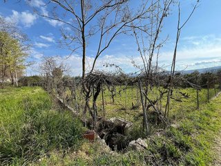Terreno en venta en Dúrcal