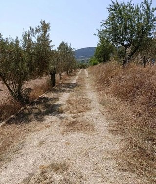 Terreno en venta en Onil