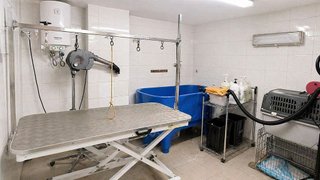 Local comercial en venta en Ejido Sur en Ejido (El)