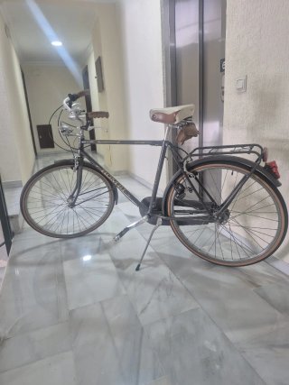 Bicicleta Clásica Roma