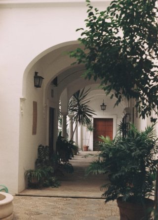 Cámara Nikon F3 Negra (leer bien la descripción)