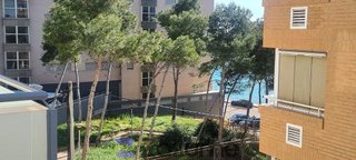 Piso en alquiler en Zona Playa de la Concha en Oropesa del Mar/Orpesa