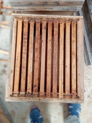 Colmena Langstroth de madera