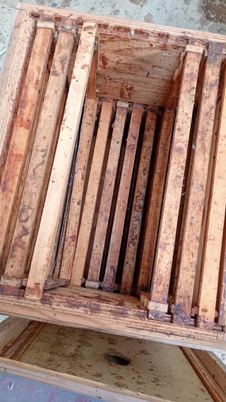 Colmena Langstroth de madera