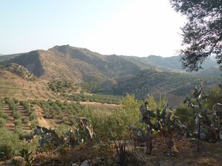 Terreno en venta en Olvera