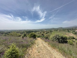 Terreno en venta en Molar (El)